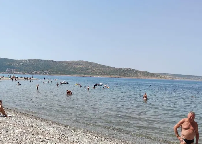 Gavran Lejlighed *