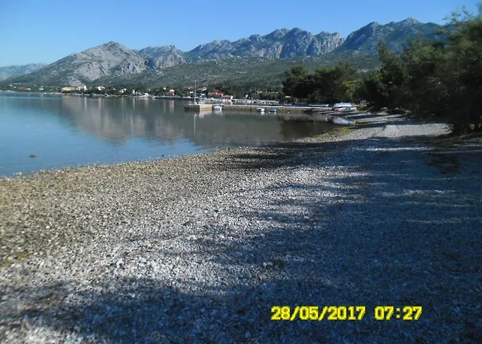 Gavran