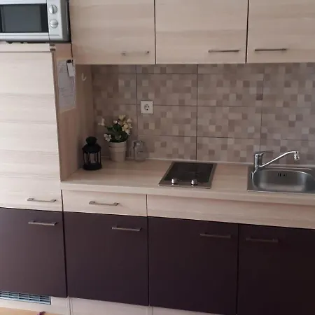 Apartament Gavran *