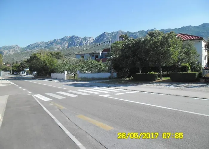 Gavran * Селине